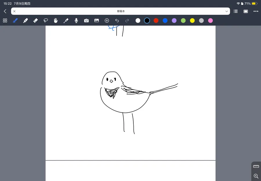 白鹡鸰